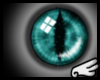 [S]Toyger Eyes- F