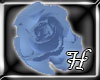 [HiNa] Konan Rose