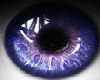 t| Purple Shine Eyes F