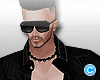 [C] Polo Shirt B.