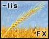wheat: fx