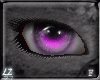 Z7 Lit Purple F