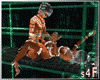 :s4f-ap T scaffold 6P