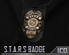 ICO S.T.A.R.S Badge