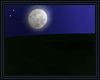 Moonlight Field
