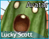 Timid cactus Avatar