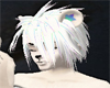 Rainbow Lion Fur