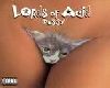 Lords of Acid - Pussy