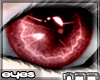 [n77] Dream Red