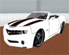 {F} Camaro Convertible-W