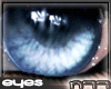 [n77] Desire Eyes Ice