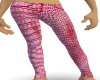 snake skins