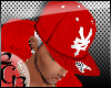 2G3. ZOOYORK FITTED