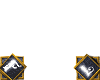 (FL) Chest Diamond Pierc