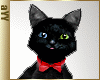 aYY- red collar red bow Black Heterochromia cat