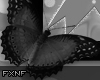 Darkness Frame