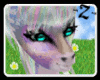 [z]Rain Bow ears