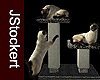 AP Siamese Cat #7
