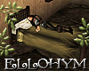 ~E- Infirmary Bed Single