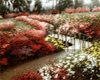 .NA Garden Views Backdr.