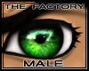 TF Lustrous Eyes Green