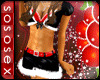 [SSS]Christmas Mini Wait