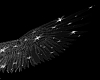 Starfield Black Wings