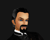 Gentlemans Grey Hair