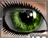[n77] DeepInMyEyes 2Gree
