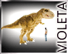 T- Rex  Pet