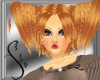 Product Image for Pumpkin Willowe