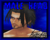 Male  Hot  Small  Head