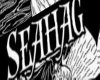 The Seahag Ship