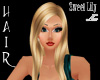 B*Dawn Sweet Lily