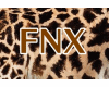 PVT # FNX #