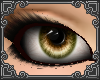 W~ Glimpse Hazel