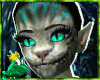 QF^Wonderland Cat Skin