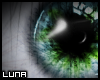 [L] Storm | Jungle