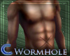 [*]Wormhole Warrior Skin