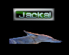 Jackal