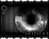 *L� iWet | Gray