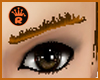 [R3]Brown EyeBrows