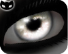 [SIN] Luna Eyes Grey