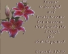 Proverbs 31:30 Scripture