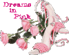 ~LN~ PINK HEELS-01
