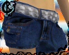 Denim Cargo Shorties