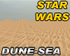 SW Dune Sea