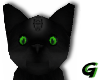 Green Eyed Spirit Cat