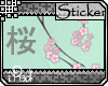 cherry blossom-sakura