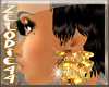 *z* Gold fever